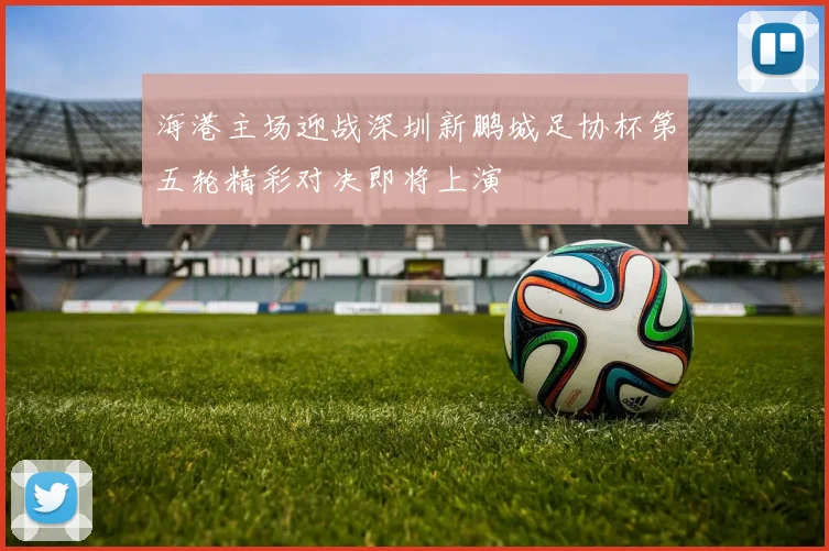 海港主场迎战深圳新鹏城足协杯第五轮精彩对决即将上演