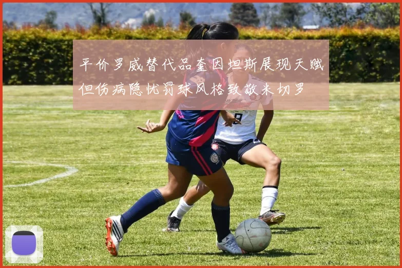 平价罗威替代品奎因坦斯展现天赋但伤病隐忧罚球风格致敬米切罗